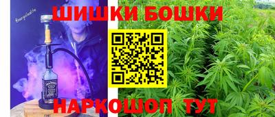 apvp Камышлов